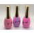 Rosenails 2025 széria 15ml